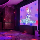 鴻欣酒店夜總會